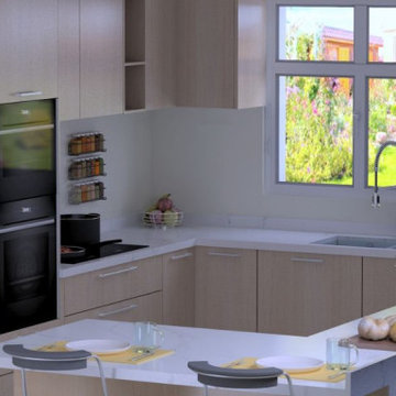 3D Render
