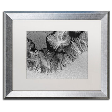 Kurt Shaffer 'Window Frost Pattern 1' Art, Silver Frame, White Matte, 20"x16"