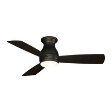 fans