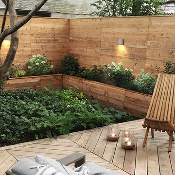 Prospect Heights Backyard