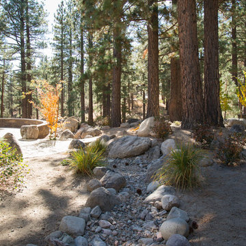 Forest home backyard renovation