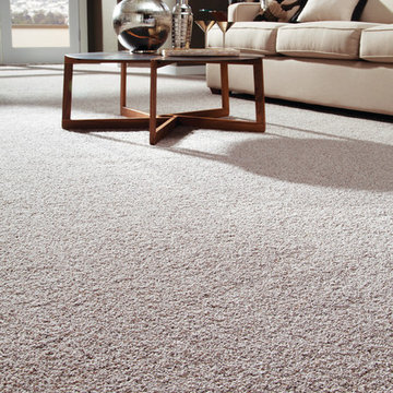 Mohawk Carpet