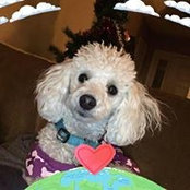 Leslie Arthur Sampson's photo