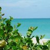 Hemant Dhawan's photo