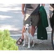 Foto von Anne Alter