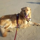 Bridget Knouse's photo