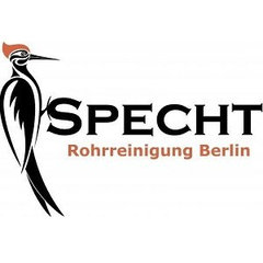 Specht Rohrreinigung Berlin - Klempner & Sanitär N
