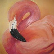 Madeline Hall's photo
