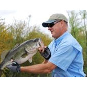 Barry Stokes's photo