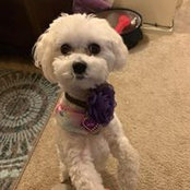 Felicia Swanson's photo
