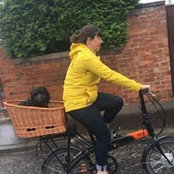 Foto von Elle Bee