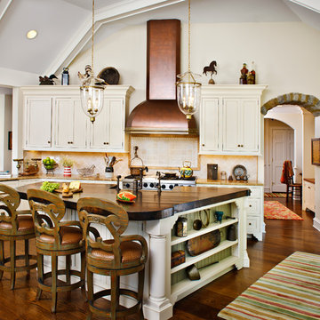 Villanova Kitchen Renovation