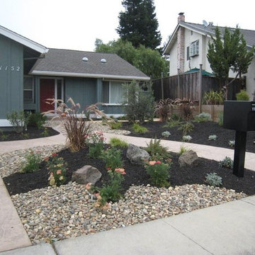 Landscape Design & Installations