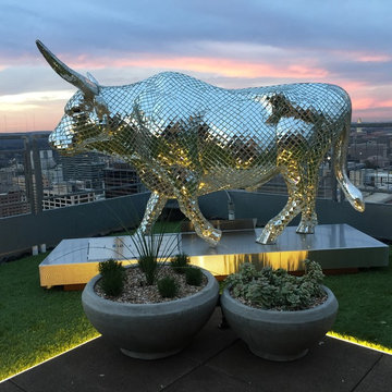 Rooftop Haven