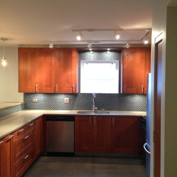 Kitchen remodel on Fletcher Avenue