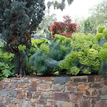 Kew Treasure