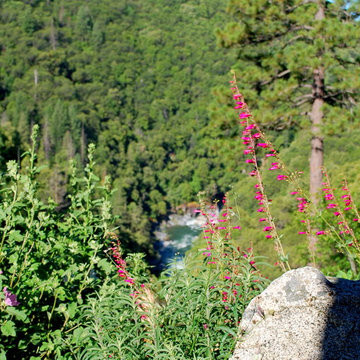 Purdon Road, Nevada City