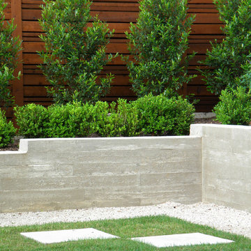 Minimalist Backyard