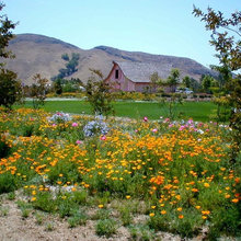 open fields