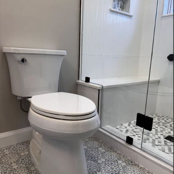 Master Bathroom Remodel