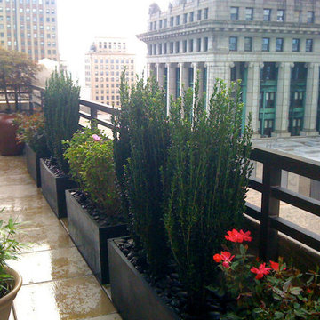 NYC Roof Garden: Terrace Deck, Container Plants, Fiberglass Pots, Black Stones