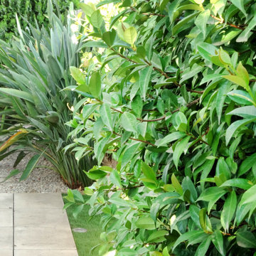 Trasera de jardín