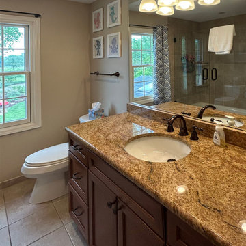 Kid-Friendly Hall Bathroom Design