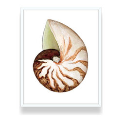 "Breakers Nautilus Shell" Fine Art Print with White Frame - Fine Art Prints