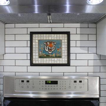 Upstate South Carolina Kitchen Backsplash