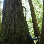 Sean Mackintosh's photo
