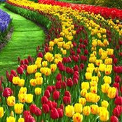 Eman Mohamed's photo