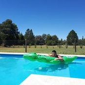 Os Ibarra's photo
