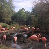 Mike Phillips's photo