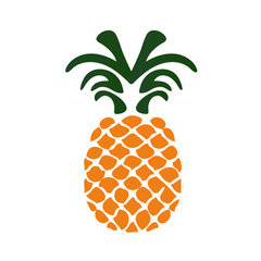Pineapple Engineering Ltd.