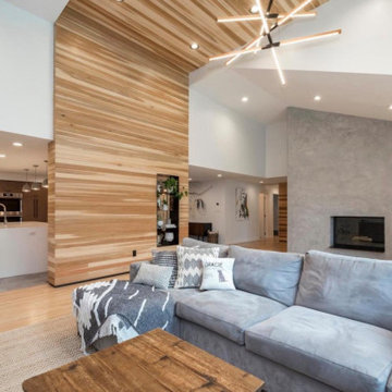 Full Home Renovation - Phoenixville, PA