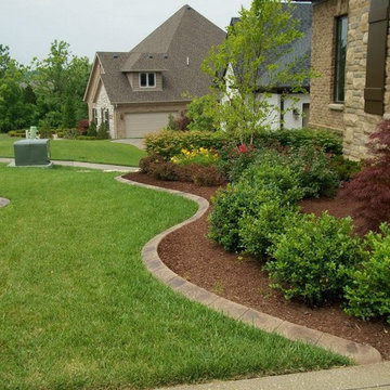 Our Work