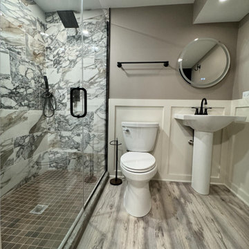 Lisle Basement Project