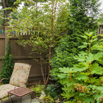A Down-Sized Dream Garden