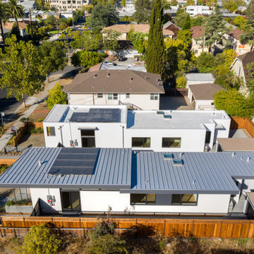 Palo Alto Contemporary IV
