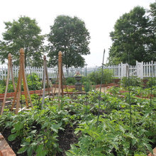 Garden Ideas