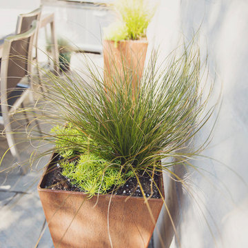 COR-TEN Planter with Carex testacea and Sedum rupestra 'Angelina'