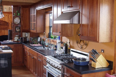 Kitchen - traditional kitchen idea in San Francisco