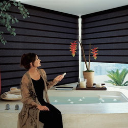 Motorization - Roman Shades