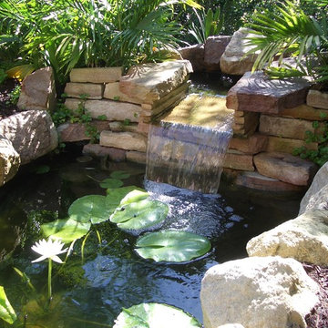 Noosa - Tropical Garden