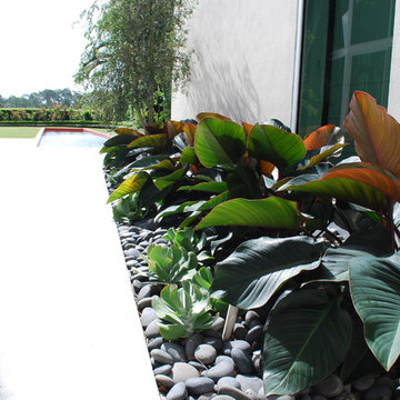 Rood Landscape Projects