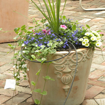 Brick Patio