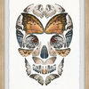 "Butterfly Skull" Framed Painting Print, 24x36