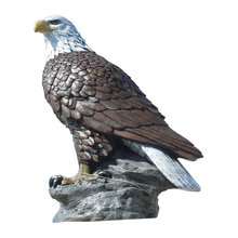 eagles