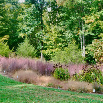 Native Meadow