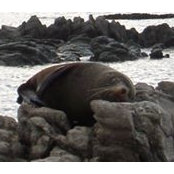 Akio Okuchi's photo